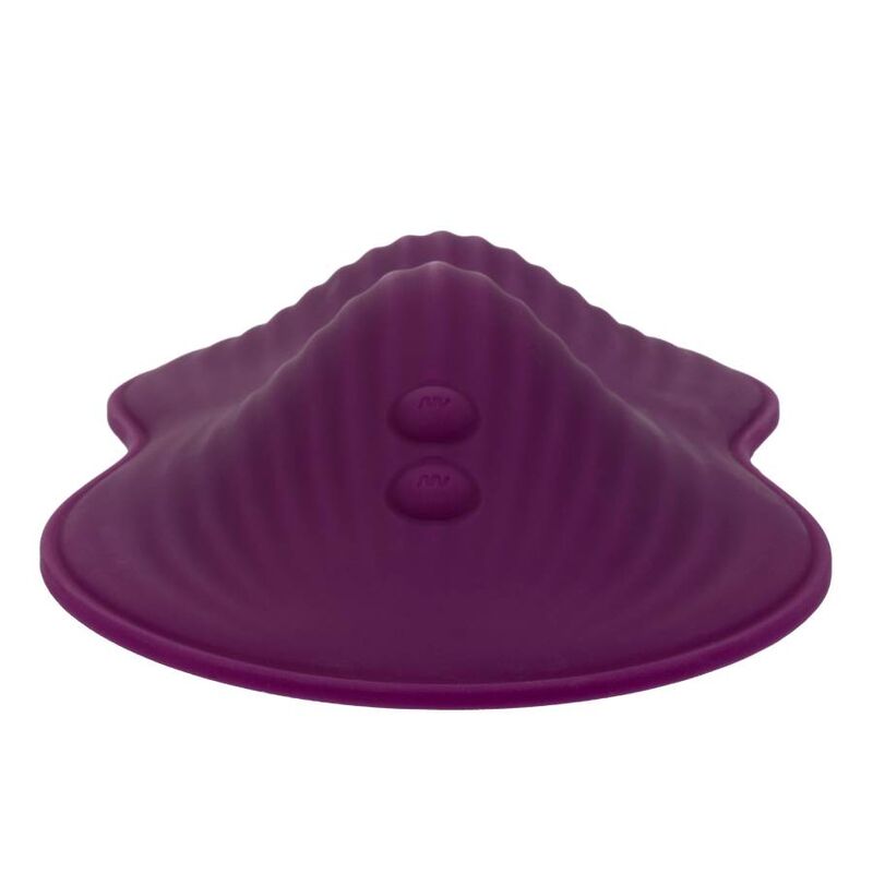 CALEXOTICS - TÉLÉLÉCOMMANDE DUAL RIDER