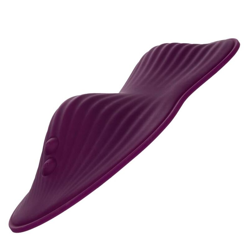 CALEXOTICS - TÉLÉLÉCOMMANDE DUAL RIDER
