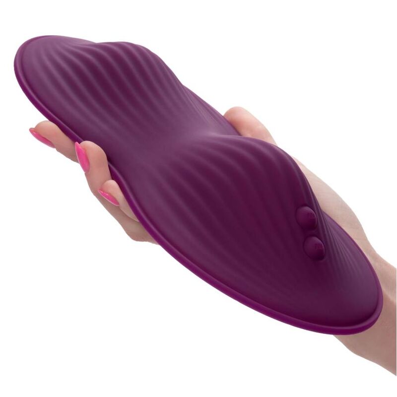 CALEXOTICS - TÉLÉLÉCOMMANDE DUAL RIDER