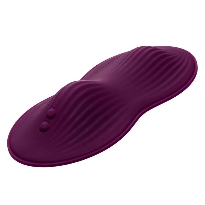 CALEXOTICS - TÉLÉLÉCOMMANDE DUAL RIDER