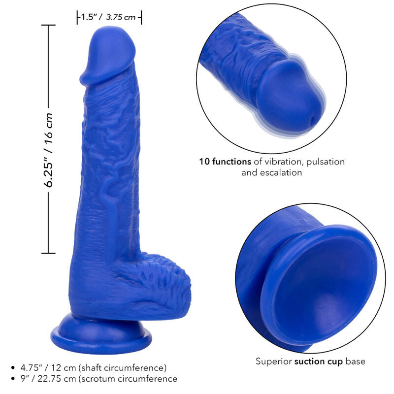 CALEXOTICS - DILDO VIBRADOR REALISTA ADMIRAL AZUL MARINO