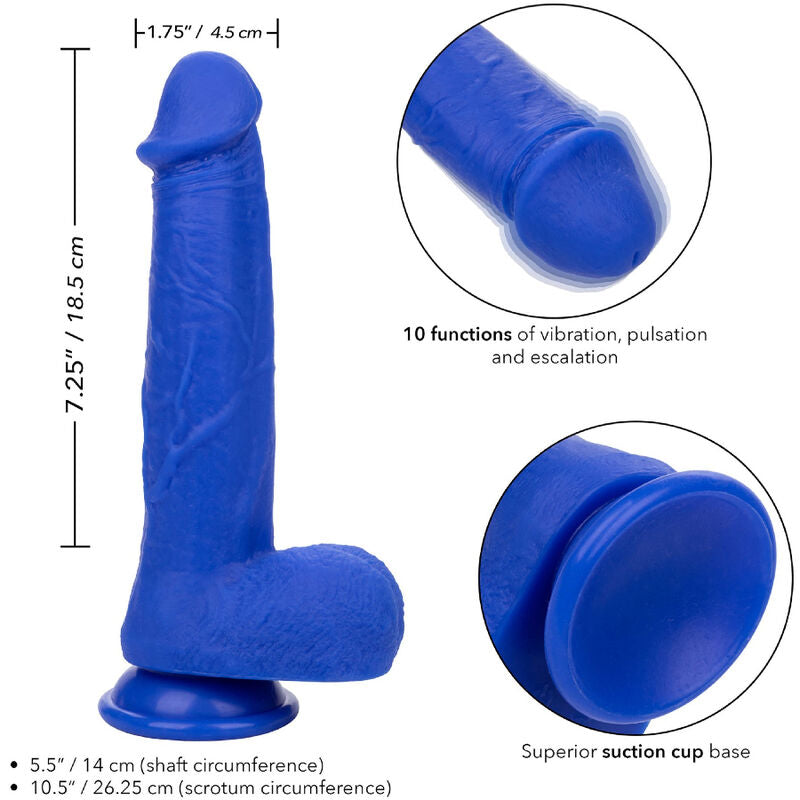 CALEXOTICS - DILDO VIBRADOR REALISTA ADMIRAL CAPITÁN AZUL