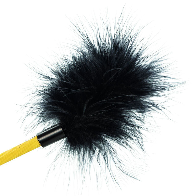 CALEXOTICS - COSECHA DE PLUMAS SIN LÍMITES