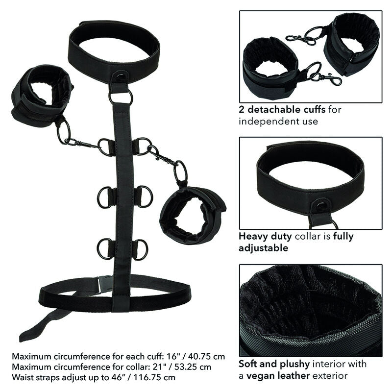 CALEXOTICS - COLLAR DE RESTRICCIÓN SIN LÍMITES