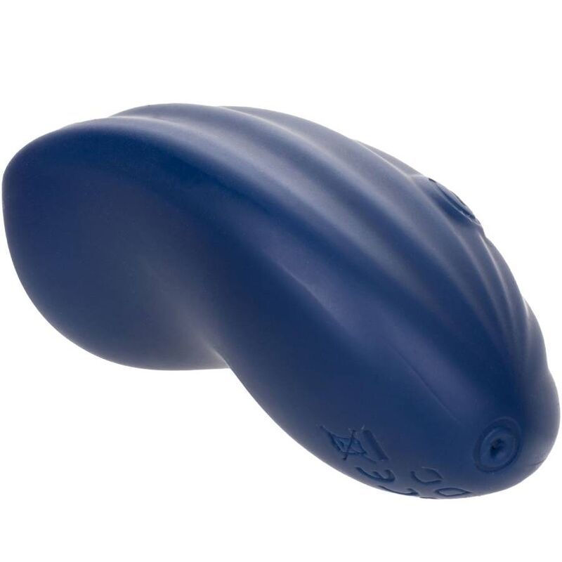 CALEXOTICS - CASHMERE VELORS CURVE BLEU