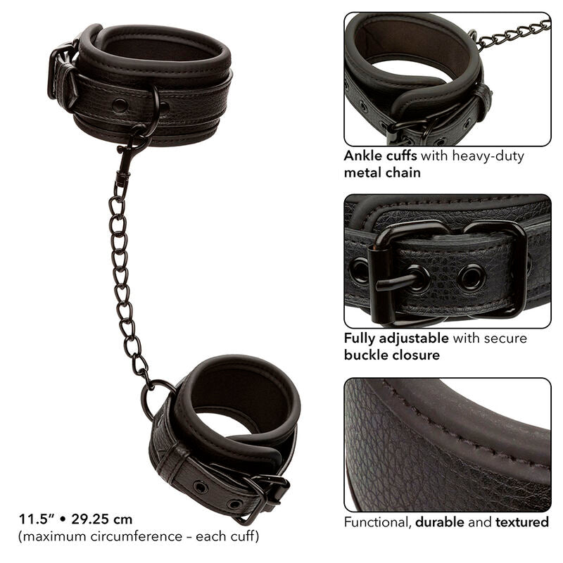 CALEXOTICS - NOCTURNAL RÉGLABLE CHEVILLES IN CUIR NOIR