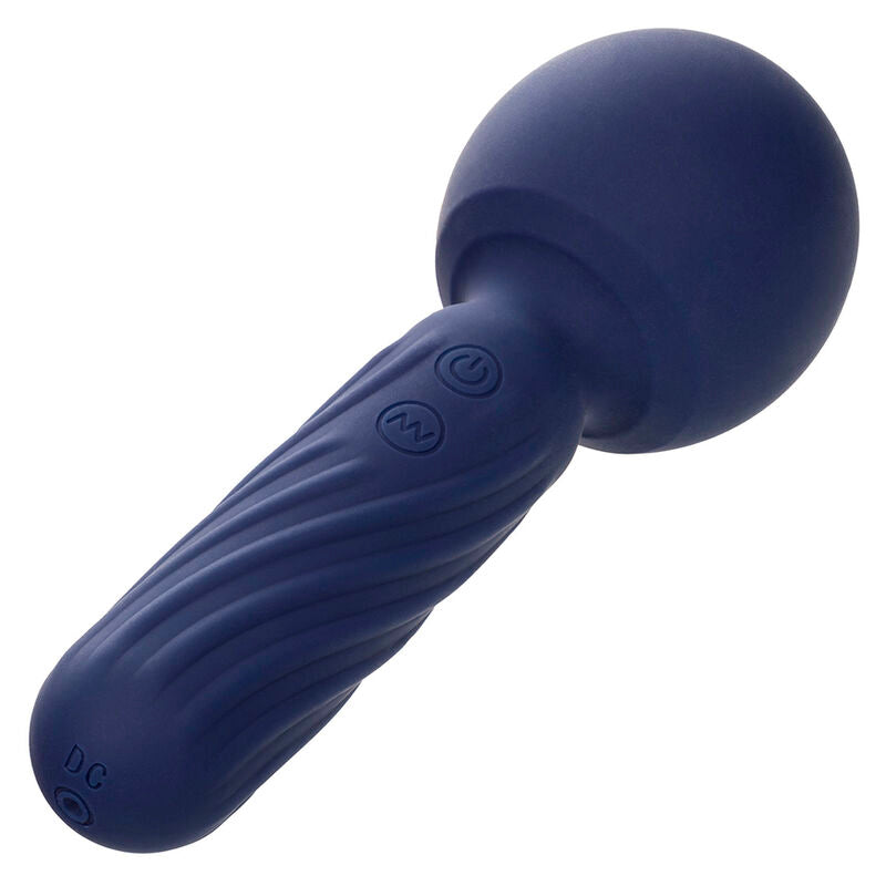 CALEXOTICS - CHARISMA SEDUCTION MASSEUR 12 FONCTIONS 17.75 CM X 6.25 CM VIOLET