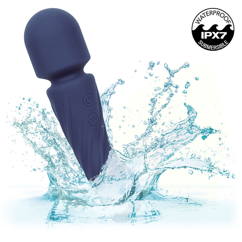 CALEXOTICS - CHARISMA ALLURE MASSEUR DOUBLE MOTEURS 12 FONCTIONS 17.25 CM X 4.5 CM VIOLET