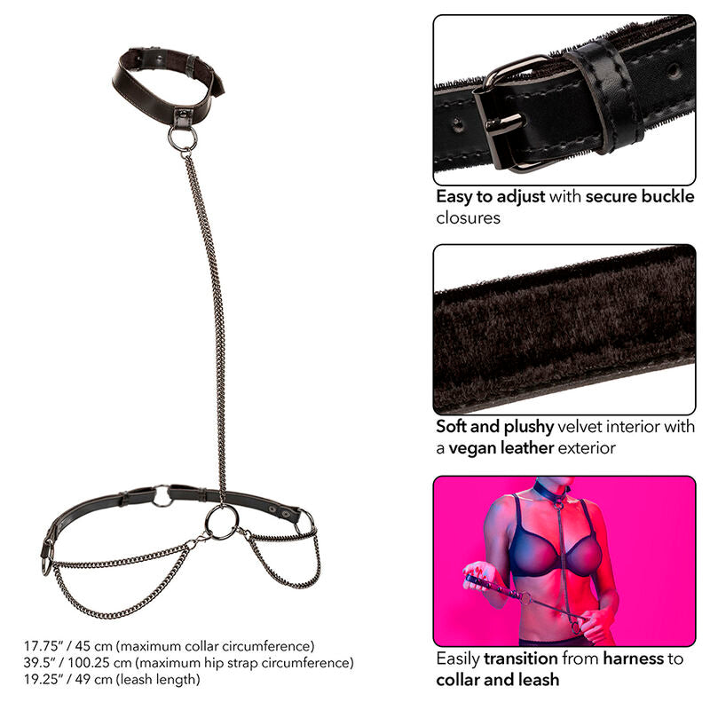 CALEXOTICS - EUPHORIA HALTER COLLAR AND CHAIN LEASH