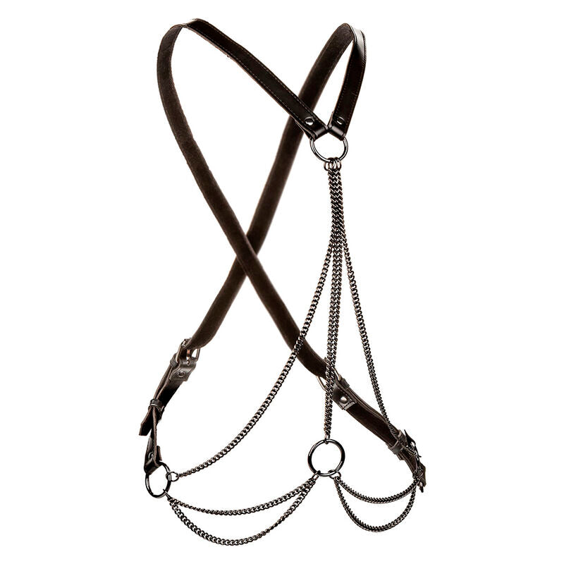 CALEXOTICS - ARNÉS MULTICADENA EUPHORIA PREMIUM TALLA GRANDE