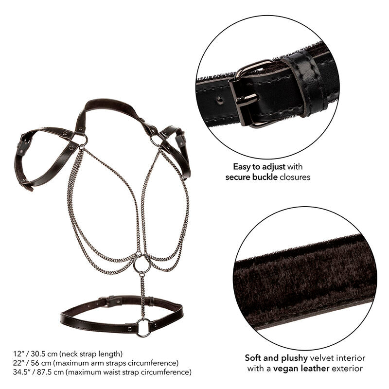 CALEXOTICS - EUPHORIA PREMIUM MULTI-CHAIN HALT HARNESS