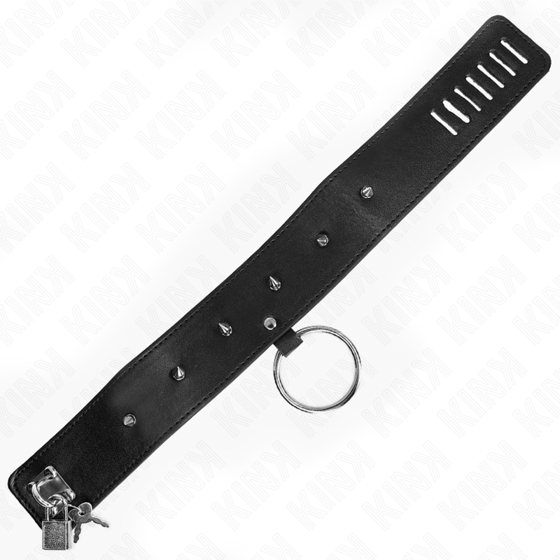 KINK - COLLAR DE 65 CM CON CORREA CON TACHUELAS PLATEADAS MODELO 2 AJUSTABLE 36-43 CM X 5 CM