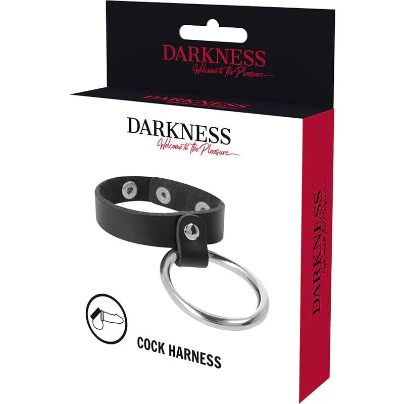 Darkness – Anneau Métallique pour le Pénis et les Testicules