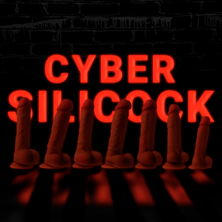 Cyber Silicock