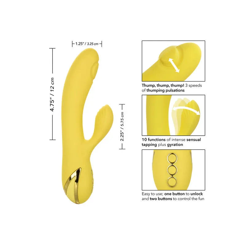 Calexotics – San Diego Séduction