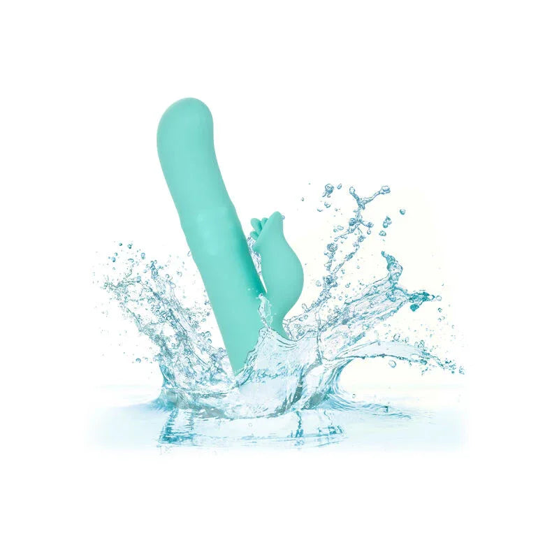 Calexotics – Bel Air Bombe Vert Clair