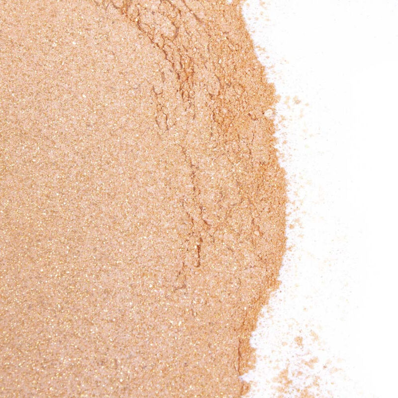 SECRETPLAY - GOLDEN LIGHT KIT POUDRE EDIBLE ET PLUME APHRODISIAQUE CHOCOLAT