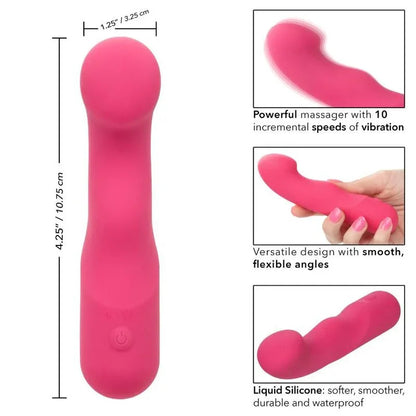 Calexotics – Pixies Curvy Rose