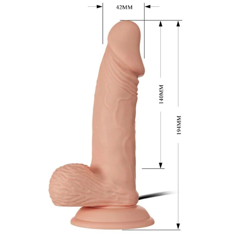 Baile – Belle Rencontre Zebulon Vibration 19.4 cm Naturel