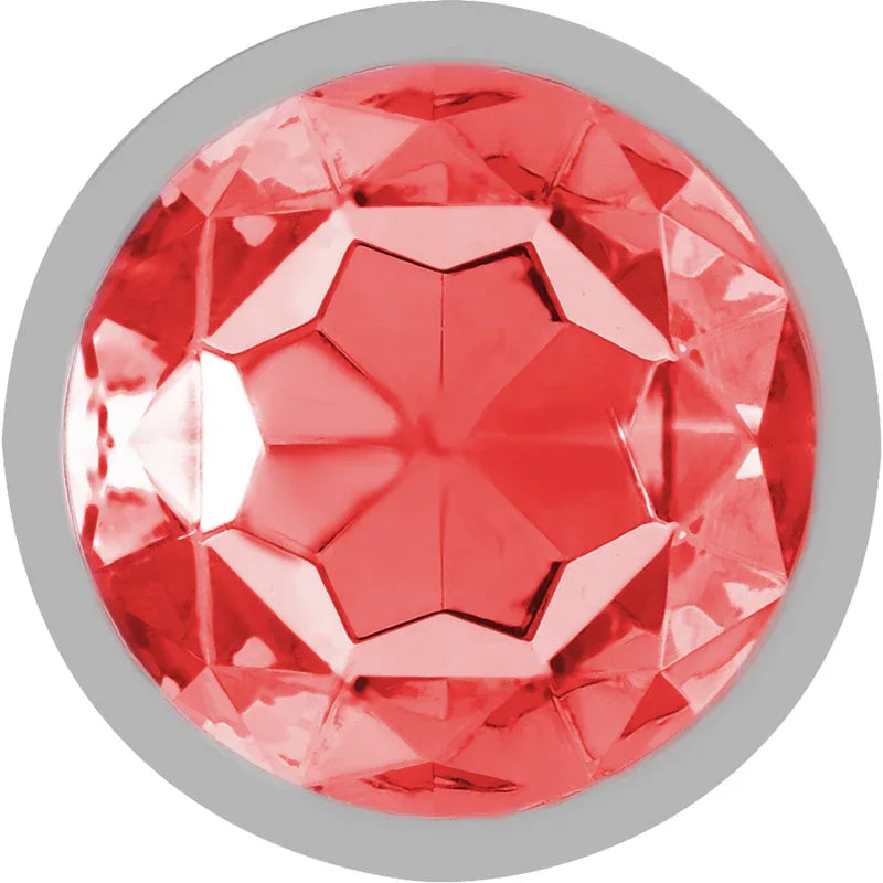 Intense – Plug Anal en Métal Aluminium avec Cristal Rouge taille S