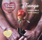 HOTFLOWERS - STRING HOMME + 2 NIPPLE AZYME VANILLE /es/pt/en/fr/it/