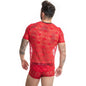 https://dreamlove.gesio.be/productos/imagenes/img_141816_60508408485aa4bea7c8782dd47de984_1.jpg