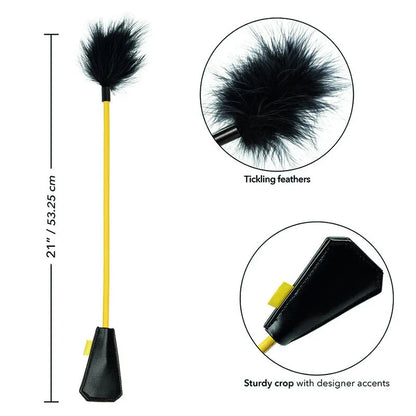 Calexotics – Boundless Récolte de Plumes