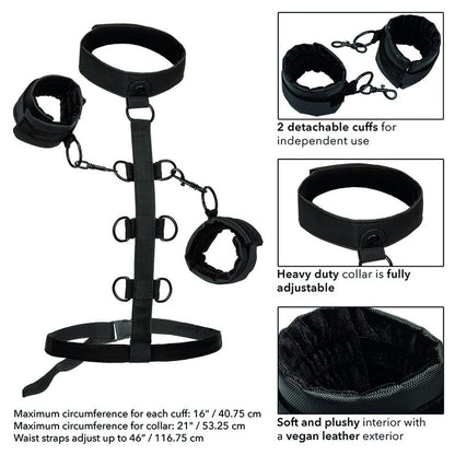 CALEXOTICS - BOUNDLESS RETENUE COLLIER