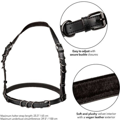 CALEXOTICS - EUPHORIA ARNÉS HEBILLA HALTER NEGRO
