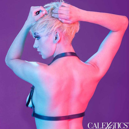 CALEXOTICS - EUPHORIA ARNÉS HEBILLA HALTER NEGRO