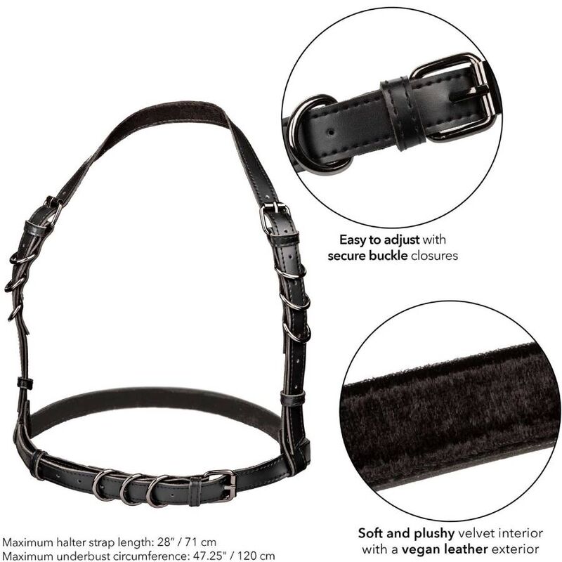 CALEXOTICS - EUPHORIA ARNÉS HEBILLA HALTER TALLA GRANDE NEGRO