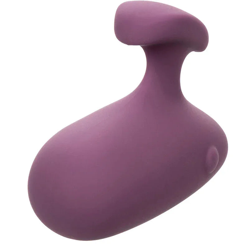 Calexotics – Stimulateur Mod Touch Violet