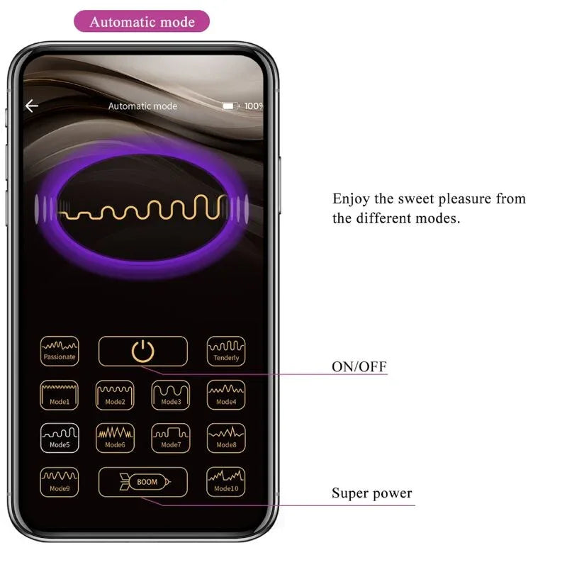 Pretty Love Ethan Vibrateur Rechargeable Violet