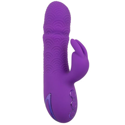 CALEXOTICS - VIBRADOR MANHATTAN BEACH MARVEL PURPLE RABBIT DE CALIFORNIA DREAMING