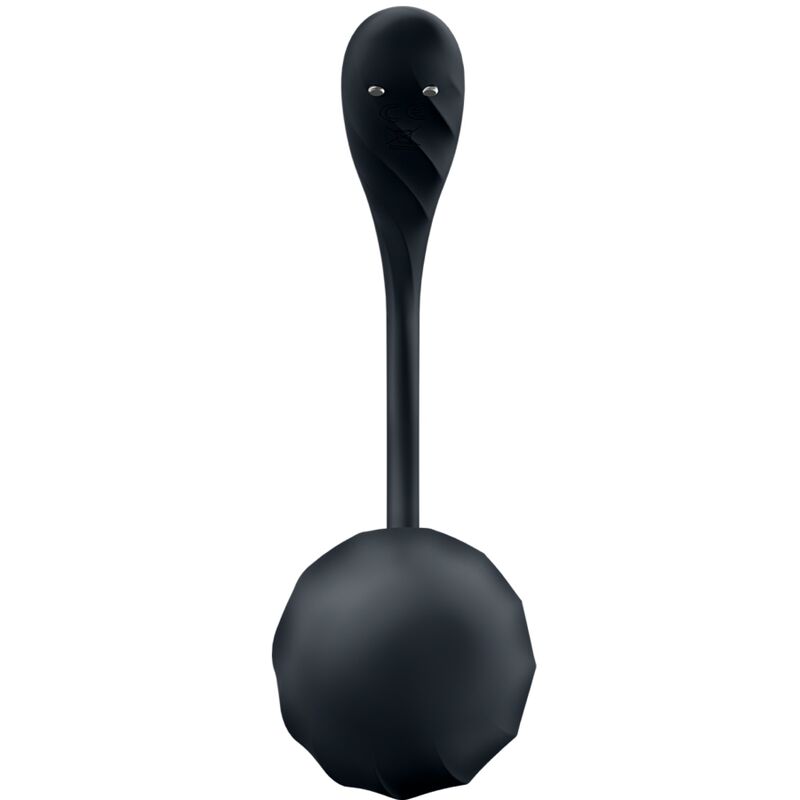 SATISFYER - RIBBED PETAL TÉLÉLÉCOMMANDE DE STIMULATEUR DE POINT G NOIR APPLICATION GRATUITE