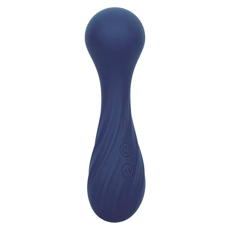 Calexotics – Charisma Temptation Masseur 12 Fonctions Violet