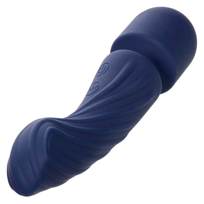 CALEXOTICS - CHARISMA ALLURE MASSEUR DOUBLE MOTEURS 12 FONCTIONS 17.25 CM X 4.5 CM VIOLET