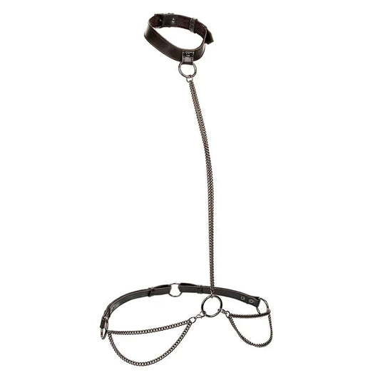 Calexotics – Euphoria Collier et Laisse Chaine