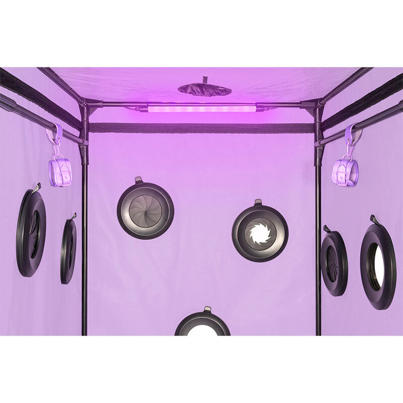 Kink club cabine scandale violet – Secret Dome