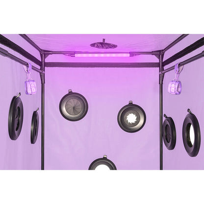 Kink club cabine scandale violet – Secret Dome