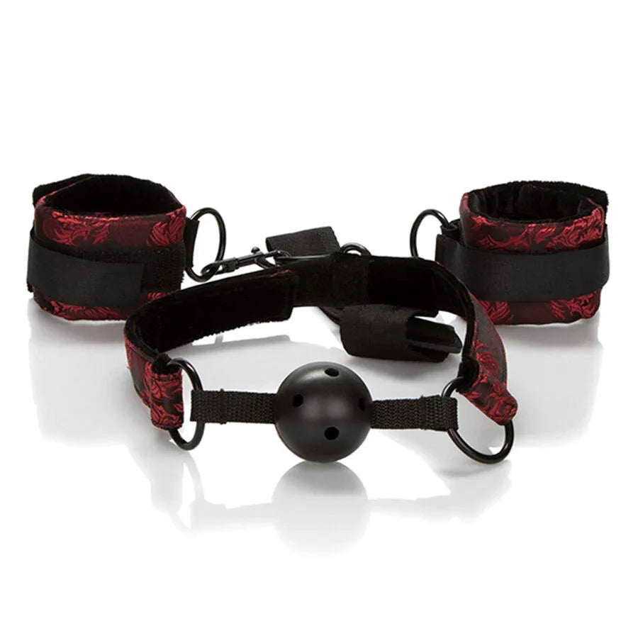 Calexotics – Scandal Bâillon Boule Respirant avec Menottes
