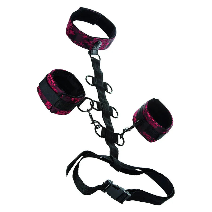 Calexotics – Scandal Support Comporal avec Cou