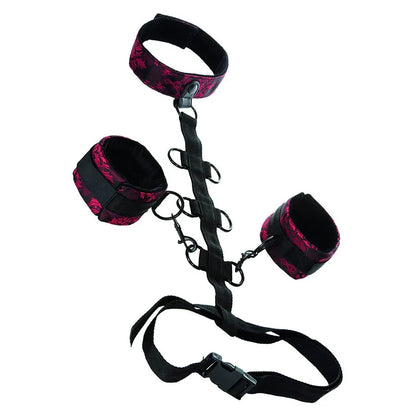 Calexotics – Scandal Support Comporal avec Cou
