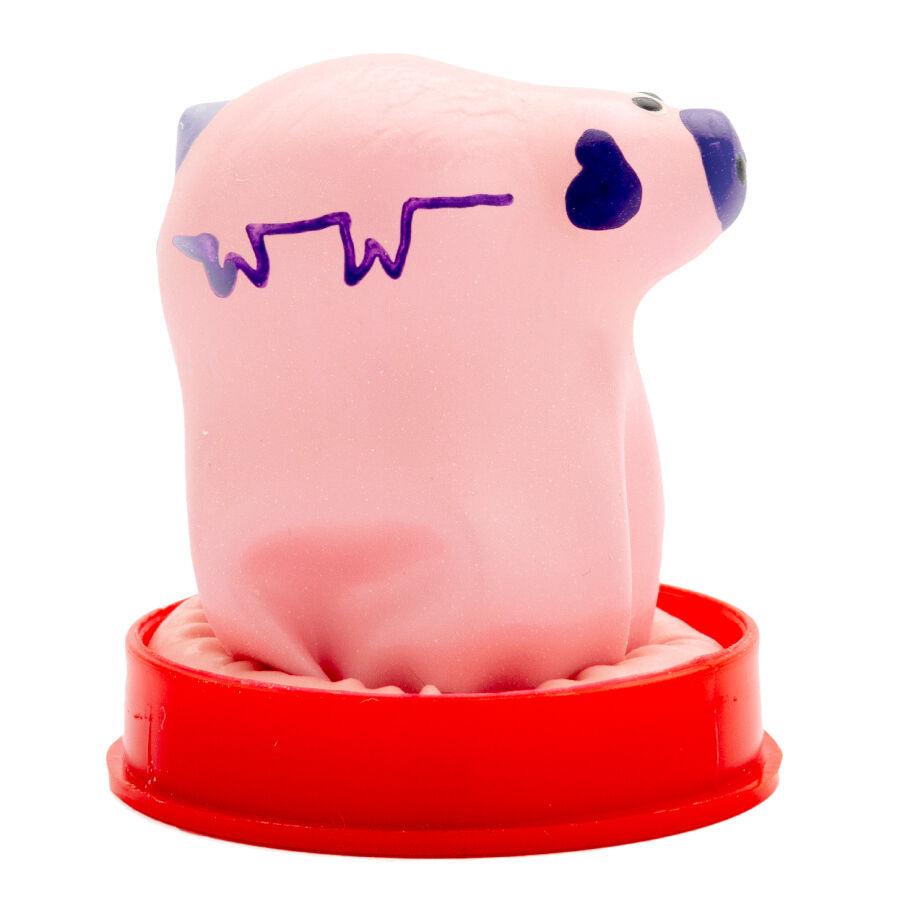 Préservatifs fantaisie peints à la main petit cochon – Condomerie