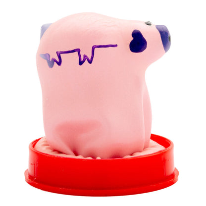 Préservatifs fantaisie peints à la main petit cochon – Condomerie
