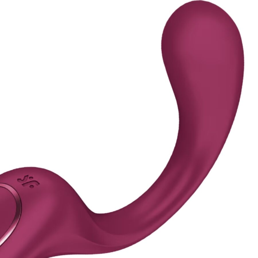 G for goddess 2 bouteille vibrateur lapin bordeaux – Satisfyer