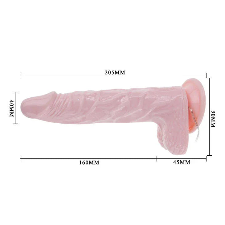 Baile – Super Rota Dong Gode Réaliste 20.5 cm