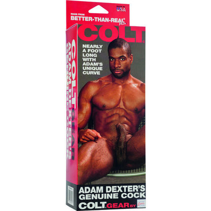 CALEXOTICS - COLT ADAM DEXTER'S BITE