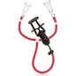 CALEXOTICS - ONDES DE STIMULATION DU MUSCLE DU POULAIN