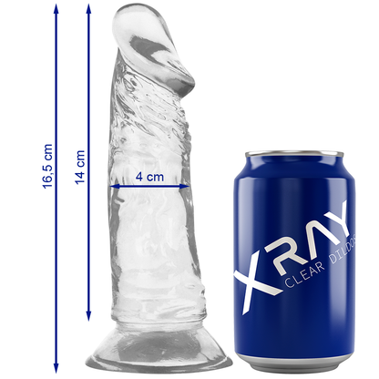 None – X Ray